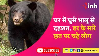 Viral Video : घर में घुसे भालू से दहशत, डर के मारे छत पर चढ़े लोग