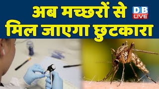 मच्छरों की डीएनए बदलने में जुटे वैज्ञानिक | Wiping out mosquitoes to fight malaria? #ecoindia