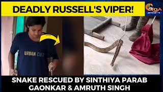 Watch how Sinthiya Parab Gaonkar & Amrut Singh rescue a deadly Rusell's viper from a house