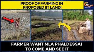 Proof of farming in proposed IIT land! Farmer want MLA Phaldessai to come and see it