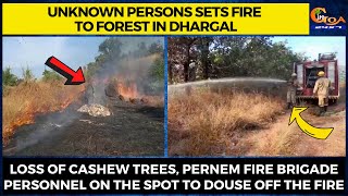 Unknown persons sets fire to forest Loss of cashew trees, Pernem fire brigade personnel on the spot