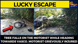 #LuckyEscape Tree falls on the motorist while heading towards Vasco. Motorist grievously injured