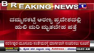 ಅಂದು ಉರುಳಿಗೆ ತಾಯಿ ಹುಲಿ ಸಾವು.. ಈಗ ಬಲಿಷ್ಠ ವ್ಯಾಘ್ರನ ದಾಳಿಗೆ ಹುಲಿ ಮರಿ ಬಲಿ | Mysuru | News 1 Kannada