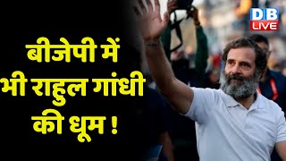 BJP में भी Rahul Gandhi की धूम ! Congress Bharat Jodo Yatra |Rajasthan news |Breaking news |#dblive