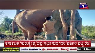 ದಸರಾದ ಮಾಜಿ ಕ್ಯಾಪ್ಟನ್ ‘ಬಲರಾಮ’ ಆನೆಗೆ ಗುಂಡೇಟು..|  News 1 Kannada | Mysuru