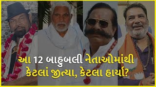 આ 12 બાહુબલી નેતાઓમાંથી કેટલાં જીત્યા, કેટલા હાર્યા? | Gujarat Election 2022 |