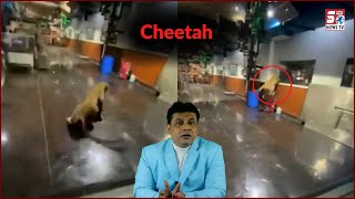 Cheetah Hua Hetero Lab Mein Daqil | Sanga Reddy |@SachNews