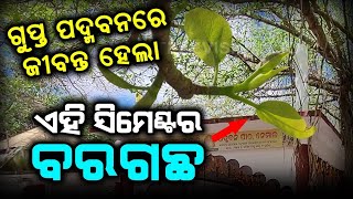 Miracle Happened with Banyan Tree | Padmaban Malika Place | @SatyaBhanja