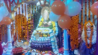 श्री शिरडी साई सर्बदेब मंदिर श्यामगंज मे हुआ एकदशी पर श्याम बाबा का गुणगान