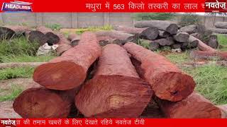 मथुरा से 563 किल्लो लाल चन्दन बरामद 7 आरोपी गिरफ्तार... #mathuranews #uppolice #pushparaj #navtejtv
