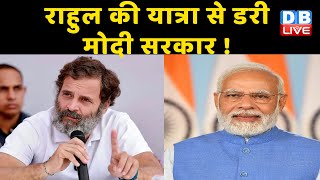 Rahul Gandhi की Bharat Jodo Yatra से डरी Modi sarkar ! bharat jodo yatra in haryana #dblive