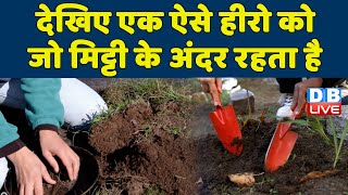 देखिए ऐसे हीरो को जो मिट्टी के अंदर रहता है | Earthworms -Vital for soil and plant health | #dblive