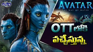 Avatar 2 Ott Release date | Avatar 2 Ott Update | Avatar The Way of Water | Top Telugu TV