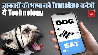 अब जानवरों की भाषा समझना होगा आसान, ये Technology करेगी Translate