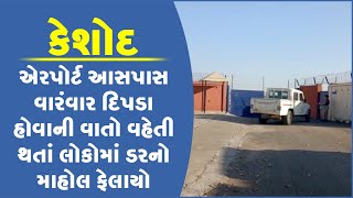 કેશોદ : એરપોર્ટ આસપાસ વારંવાર દિપડા હોવાની વાતો વહેતી થતાં લોકોમાં ડરનો માહોલ ફેલાયો