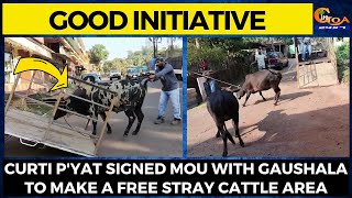 #GoodInitiative Curti p'yat signed MoU with gaushala to make a free stray cattle area