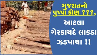 ગુજરાતનો પુષ્પા કોણ ???, આટલા ગેરકાયદે લાકડા ઝડપાયા !!