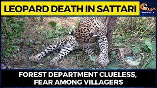 Leopard Death in Sattari. Forest department clueless, Fear among villagers