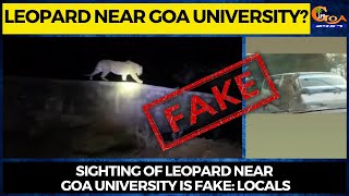 Leopard near Goa University? Sighting of leopard near Goa University is fake: Locals