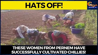 #HatsOff- These women from Pernem have successfully cultivated chillies!