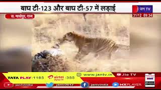 Ranthambore National Park | बाघ टी-123 और बाघ टी-57 के बीच हुआ संघर्ष, आपसी संघर्ष मे बाघ टी-57 घायल