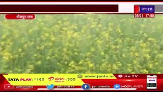 Dholpur (Raj.) News | कोहरे से आवागमन की रफ्तार थमी, सर्दी से आमजन की दिनचर्या प्रभावित | JAN TV