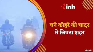 Fog News : घने कोहरे की चादर में लिपटा शहर, जन-जीवन प्रभावित | Bhopal | Madhya Pradesh News