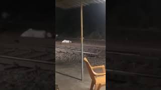 Unconfirmed video of tiger on prowl near Dudhsagar railway station
