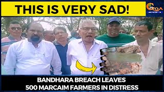 This is very sad! Bandhara breach leaves 500 Marcaim farmers in distress