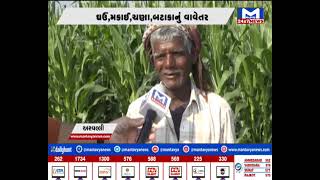 અરવલ્લીના ખેડૂતો ખુશ | MantavyaNews