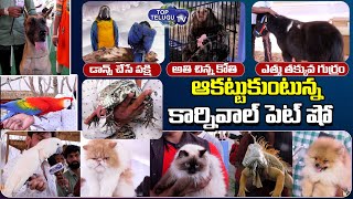 Telangana Excotic Pets Show | Carnival Pet Show At Hyderabad | Chikoti Praveen Kumar | Top Telugu TV