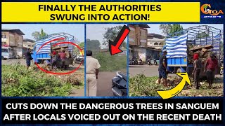 #Finally the authorities swung into action! Cuts down the dangerous trees in Sanguem