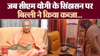 Gorakhpur में कुर्सी पर बैठी बिल्ली, CM Yogi ने पूछा सवाल, Video हुआ Viral |CM  Yogi | UP News