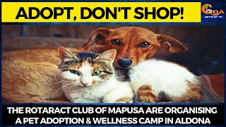 The Rotaract Club of Mapusa are organising a Pet Adoption & Wellness Camp in Aldona