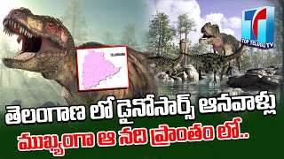 Disosaurs References in Telangana State Asifabad District | Dinosaurs | Top Telugu TV