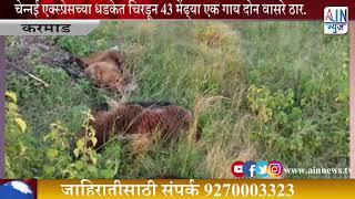 करमाड : चेन्नई एक्स्प्रेसच्या धडकेत चिरडून 43 मेंढ्या एक गाय दोन वासरे ठार.