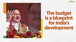 The budget is a blueprint for India's development
