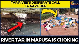 Tar River’s desperate call to save her. River Tar in Mapusa is choking