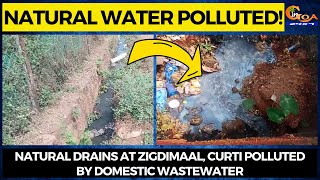Natural water polluted! Natural drains at Zigdimaal, Curti polluted by domestic wastewater