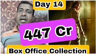 Pathaan Movie Box Office Collection Day 14 As Per Producers