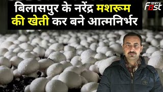 Bilaspur के नरेंद्र Mushroom की खेती कर बेरोजगार युवाओं के लिए बने प्रेरणा का स्त्रोत