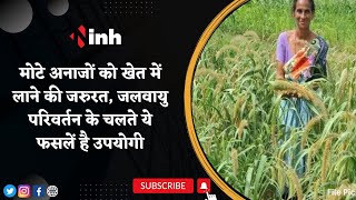 Chhattisgarh में मोटे अनाजों को खेत में लाने की जरुरत | जलवायु परिवर्तन के चलते ये फसलें है उपयोगी
