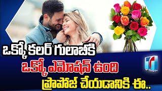 Every Colour Rose Have Seperate Expression Of its Emotion | Roses Express Feelings | Top Telugu TV