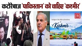 Kashmir पर Pakistan  की टूलकिट बेनकाब |Pakistan Crisis|Kashmir  |Pakistan Toolkit |India