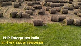 Lawn Grass Delhi NCR, अपने आसपास लॉन ग्रास लगाकर बनाये हरियाली व सुंदरता, Natural Lawn grass