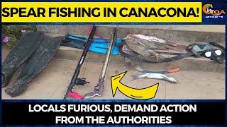 Spear fishing in Canacona! Locals furious, demand action from the authorities
