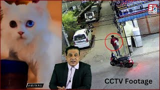 Odd Eyes Persian Cat Ki Chori | CCTV Footage | Jahangir Colony Vanasthalipuram |@SachNews