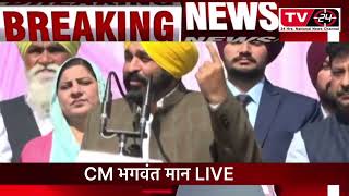 CM Bhagwant Mann LIVE speech Jalandhar  | TV24 Punjab News