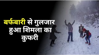 Shimla: कुफरी में उमड़ी पर्यटकों की भीड़, बर्फ देखने के लिए लोग उत्साहित