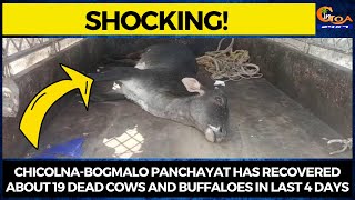 #Shocking! Chicolna-bogmalo panchayat has recovered about 19 dead cows and buffaloes in last 4 days